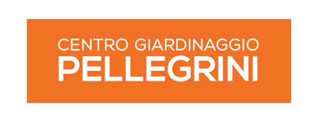 Logo_Pellegrini_2017_ar